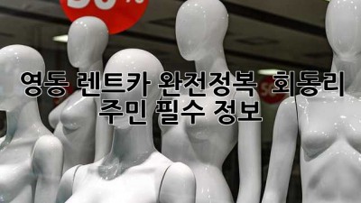 영동 렌트카 완전정복! 🚗💨 회동리 주민 필수 정보