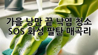 가을 낭만🍂 끝! 낙엽 청소🧹 SOS! (화성 팔탄 매곡리)
