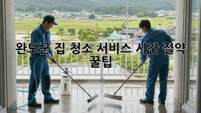 완도군 집 청소 서비스🧹 시간 절약 꿀팁🍯